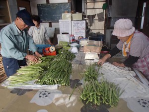 ファーム紙屋写真１