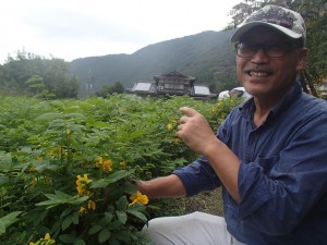 はぶ草と松本寛治さん