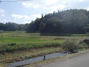 集落の中で一番山に近い場所に住んでいます